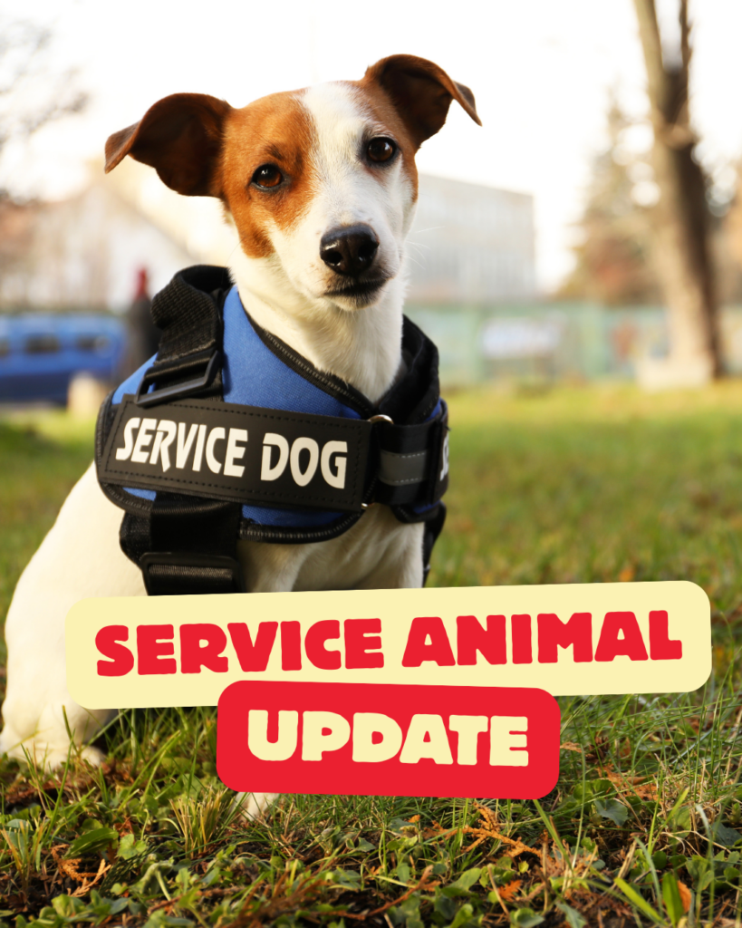 service animal
