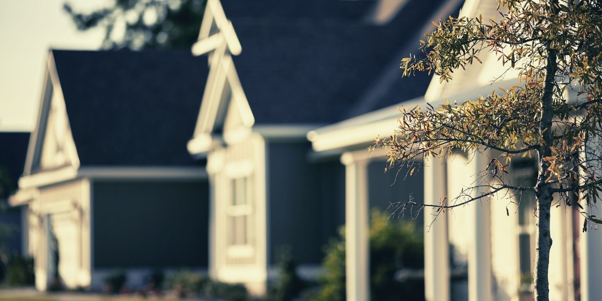Houses in Neighborhood